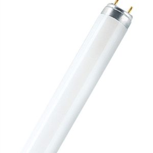 Päronlampa 24W/830 T5 Lysstofrør - Philips - Osram
