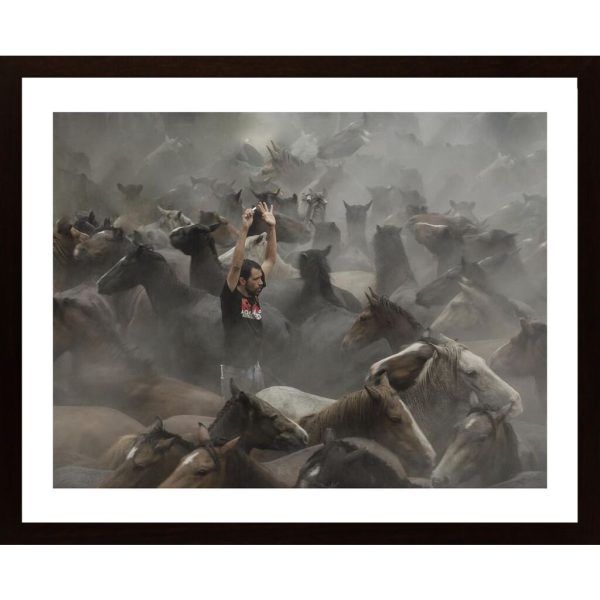 A Sea Of Horses Poster - Hambedo
