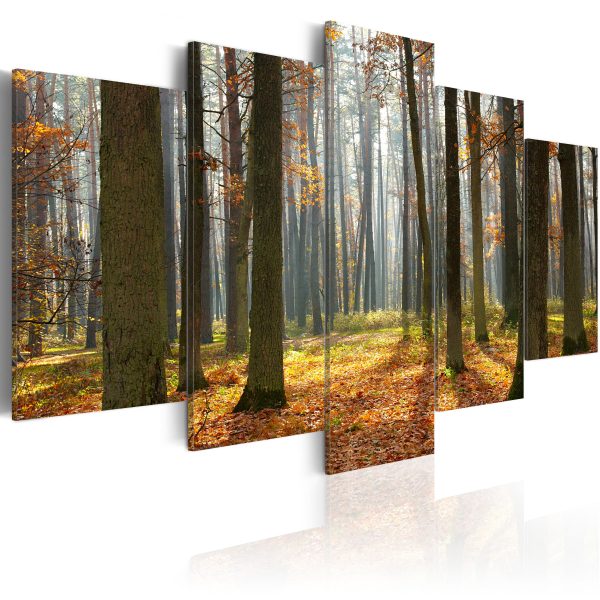 ARTGEIST A nice forest landscape - Bild p&aring; skog p&aring; h&ouml;sten tryckt p&aring; duk - Flera storlekar 100x50 - Artgeist
