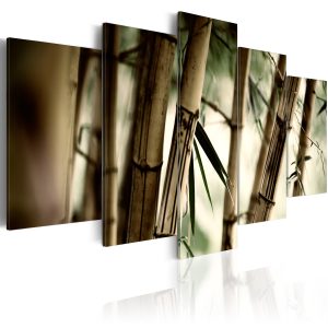 ARTGEIST Asian bamboo forest - Bild p&aring; asiatisk bambuskog tryckt p&aring; duk - Flera storlekar 100x50 - Artgeist