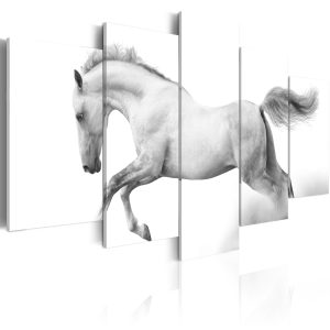 ARTGEIST Horsepassion and freedom - Minimalistisk bild av h&auml;st tryckt p&aring; duk - Flera storlekar 100x50 - Artgeist
