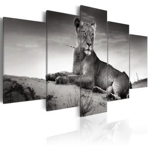 ARTGEIST Lioness in a desert - Svartvit bild av lejoninna tryckt p&aring; duk - Flera storlekar 100x50 - Artgeist