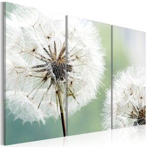 Artgeist bild - Fluffy dandelions