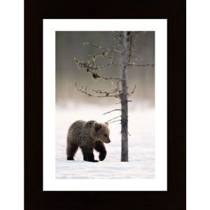 Bear In Winter Forest Poster - Hambedo