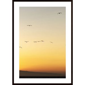 Birds In Sunset Poster - Hambedo