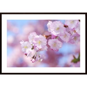 Blooming And Blue Sky Poster - Hambedo