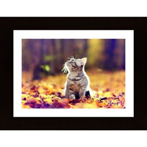 Cat In Autumn Woods Poster - Hambedo