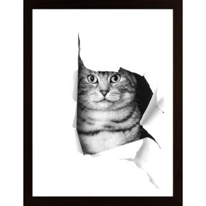 Cat Through Paper Poster - Hambedo