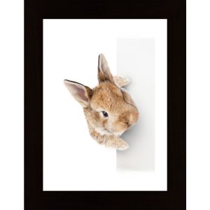 Curious Rabbit Poster - Hambedo