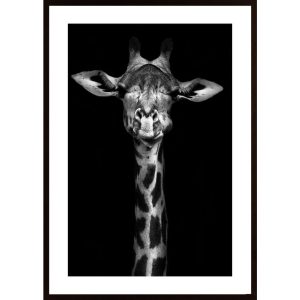 Cute Giraffe Poster - Hambedo