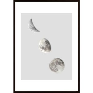 Phases Of The Moon Poster - Hambedo