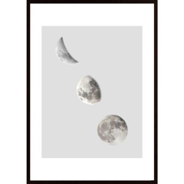 Phases Of The Moon Poster - Hambedo