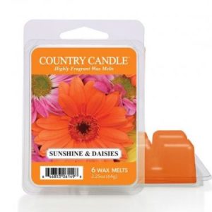 Sunshine &amp; Daisies | Vax doft | Nyhet - COUNTRY CANDLE