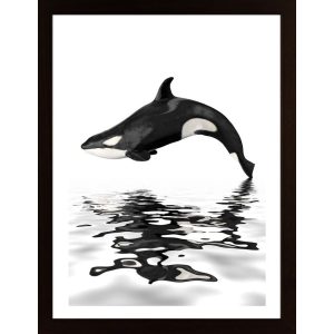 Whale With Reflection Poster - Hambedo
