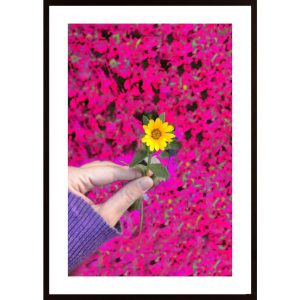 Yellow Flower Poster - Hambedo